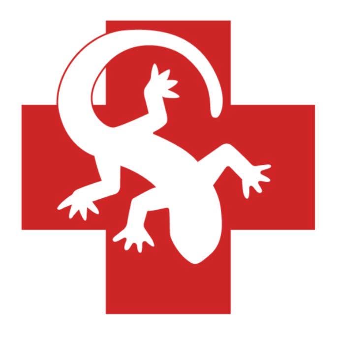 Amphibious-Medics